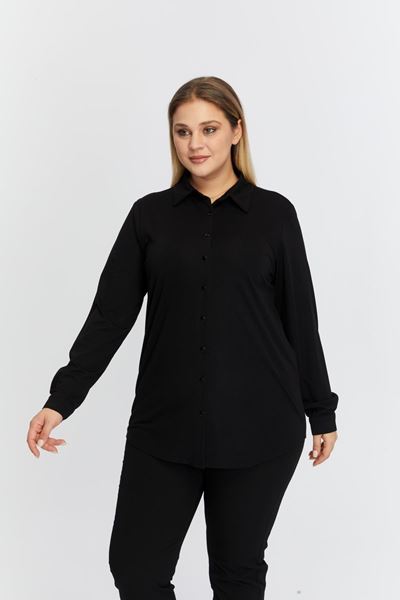 Picture of CURVY GIRL FINE QUALITY SHIRT BLOUSE     .